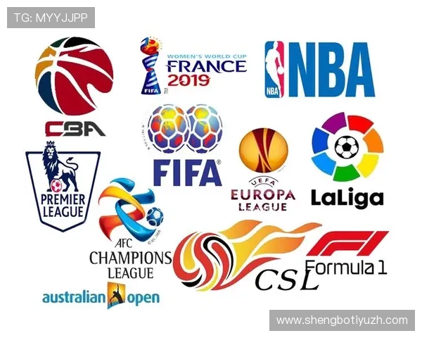 深入了解333体育中国官网提供的丰富体育内容与专业赛事直播服务